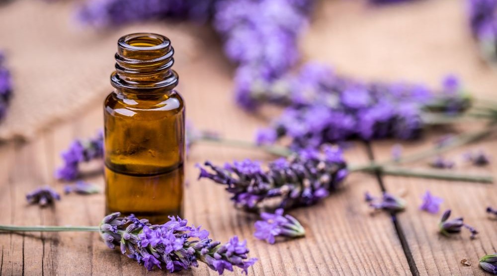 Lavender oil linked to abnormal breast growth - Professional Beauty